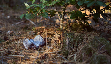 environmental-pollution-3714969_1280 environmental-pollution-3714969_1280
